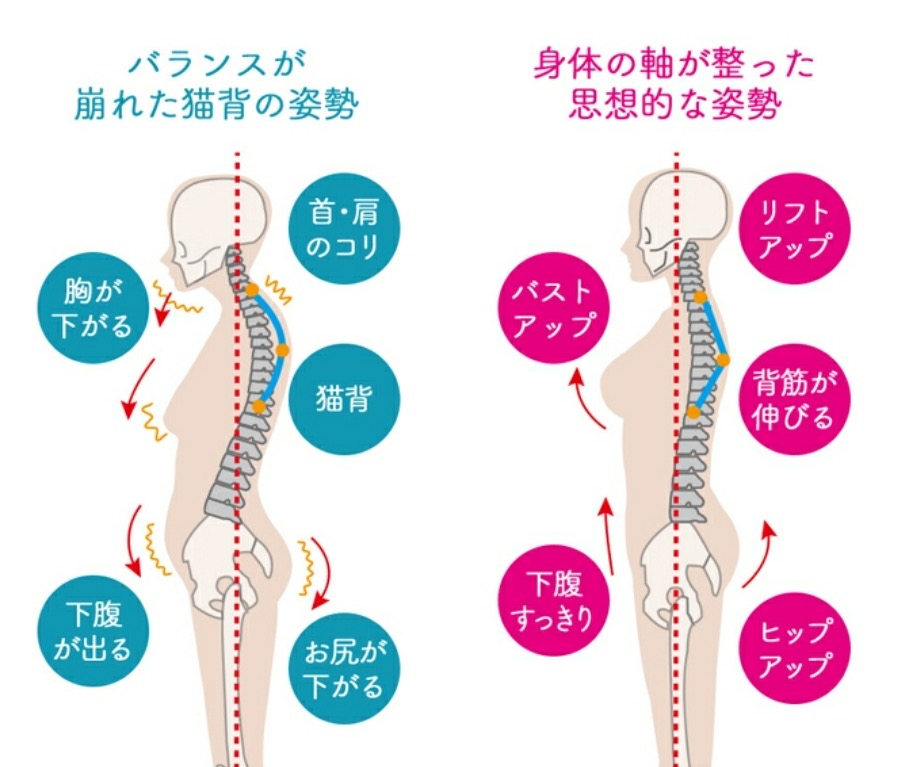 美容カイロ研修