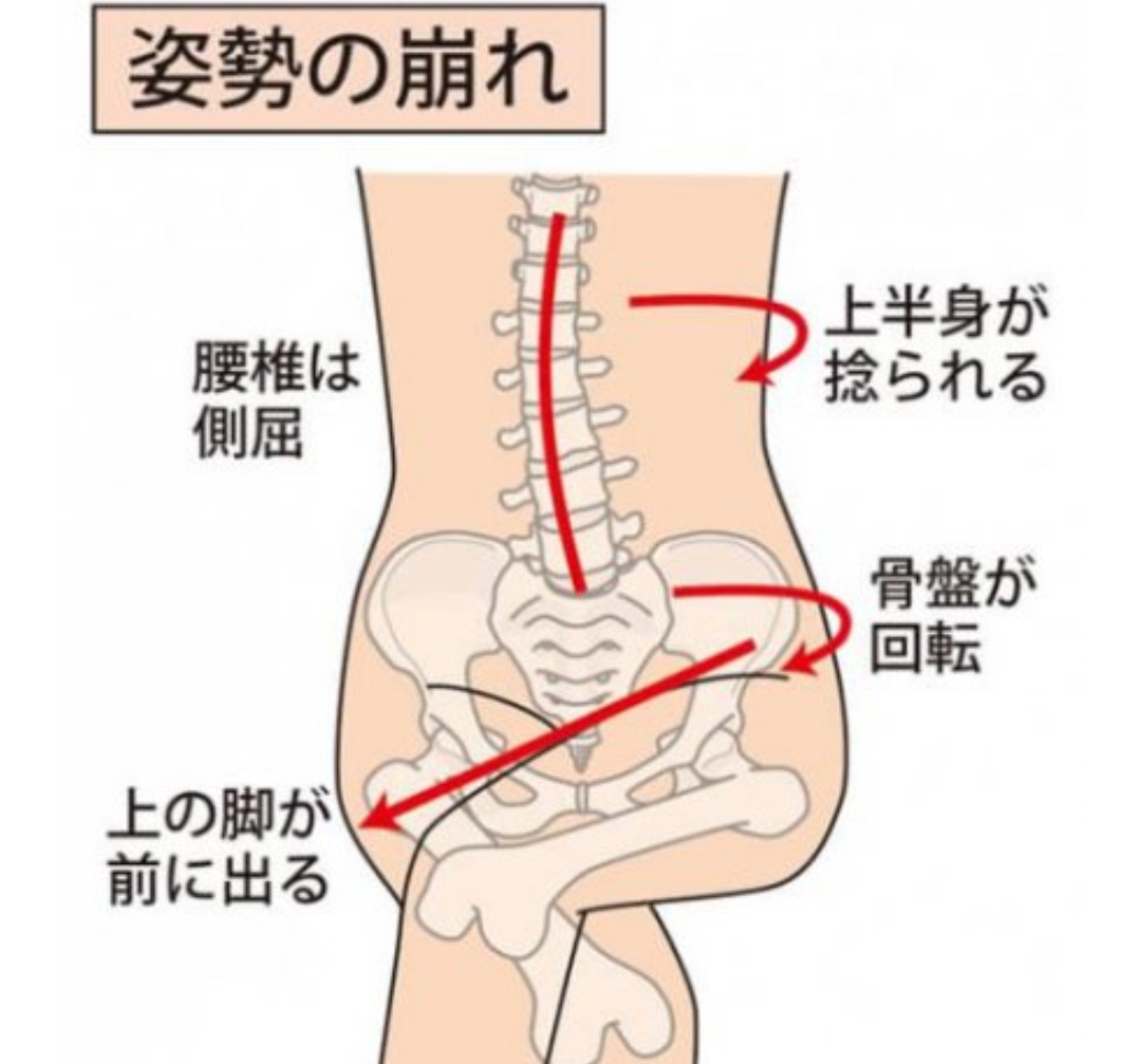 健康の基本　骨盤について知ろうNO4